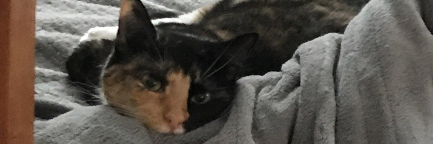 CoolAssBabies's profile banner image