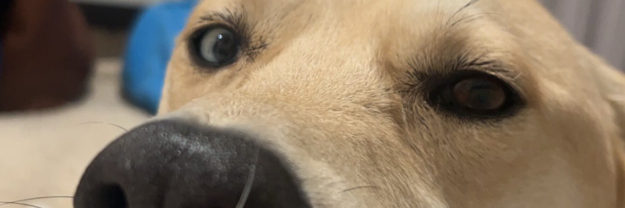 1taylorwarren's profile banner image