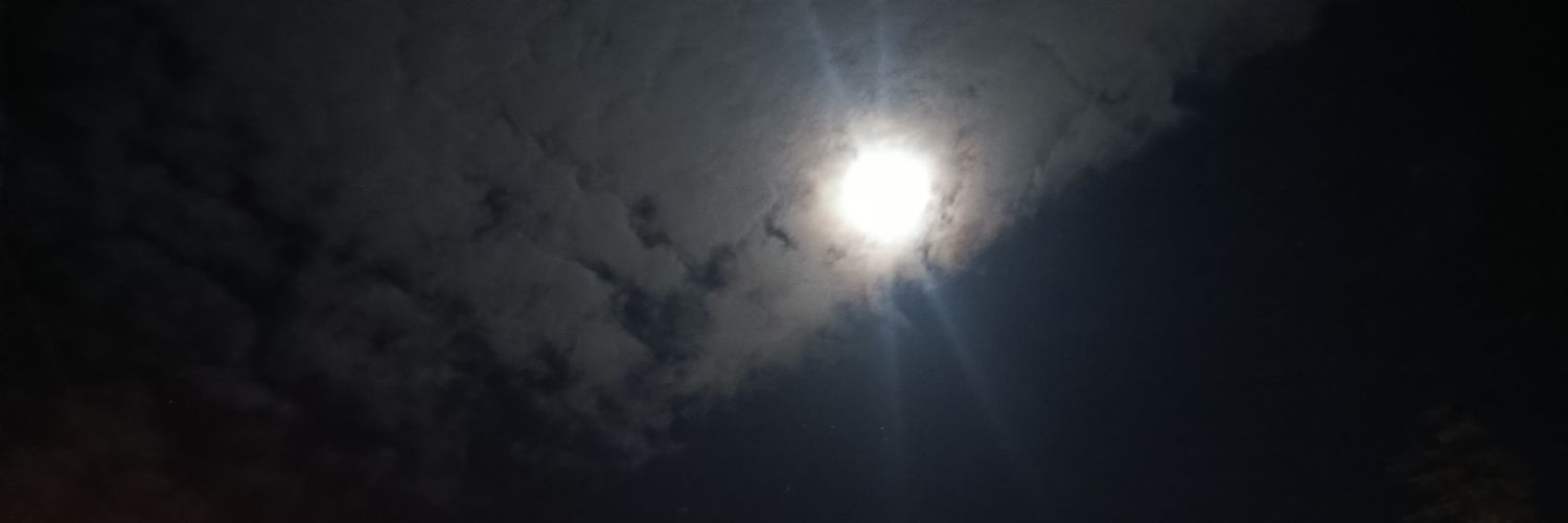 0xMorp's profile banner image