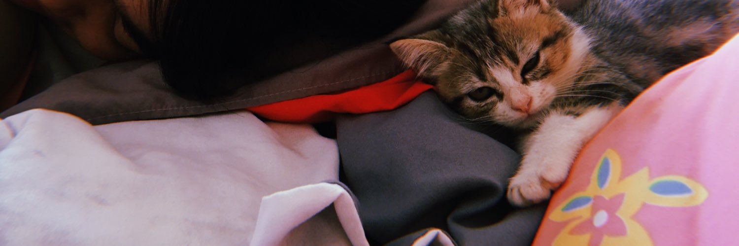 ☾ banner