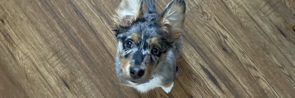 katyldorman Profile Banner