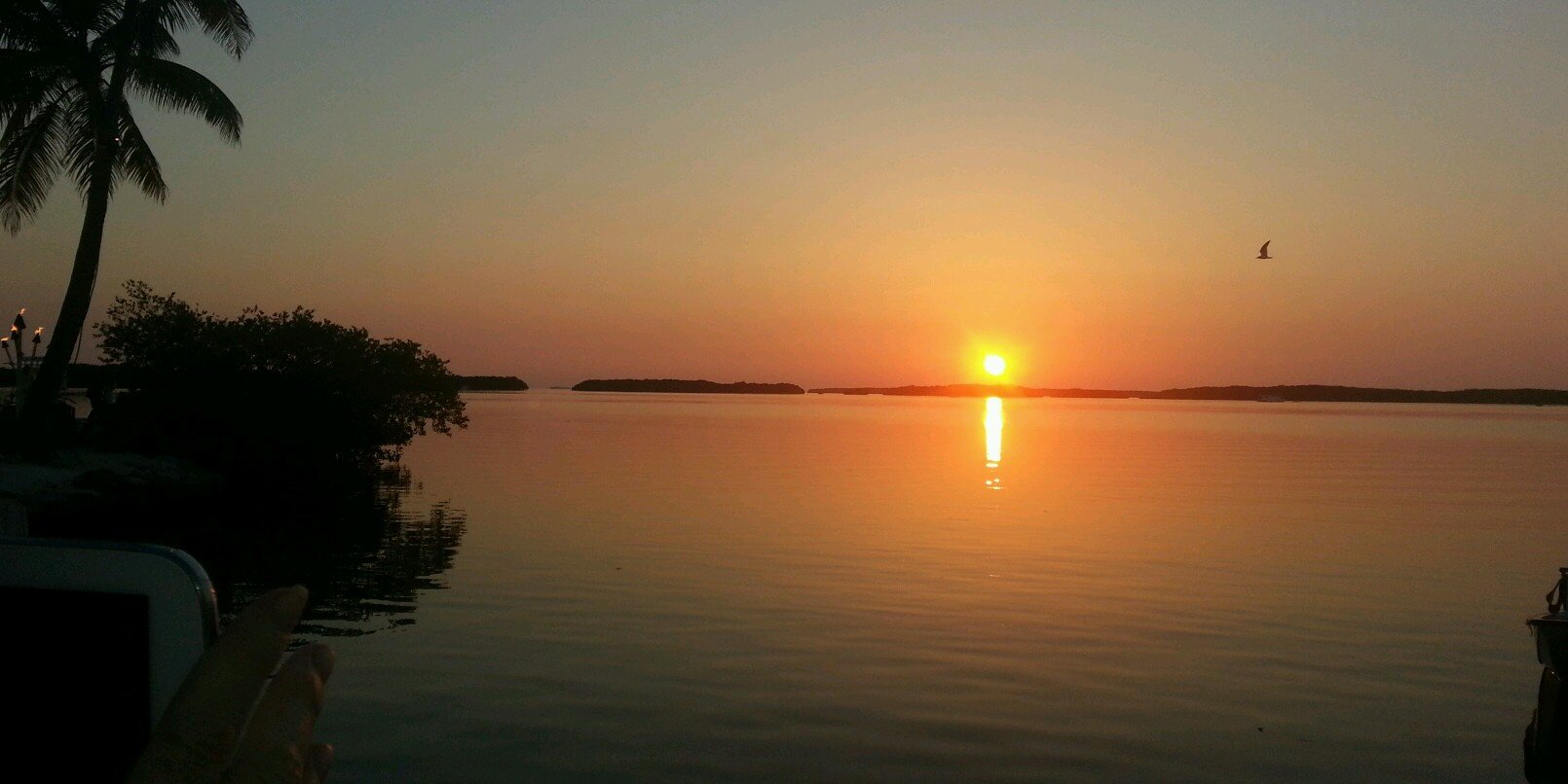 John Antignano banner