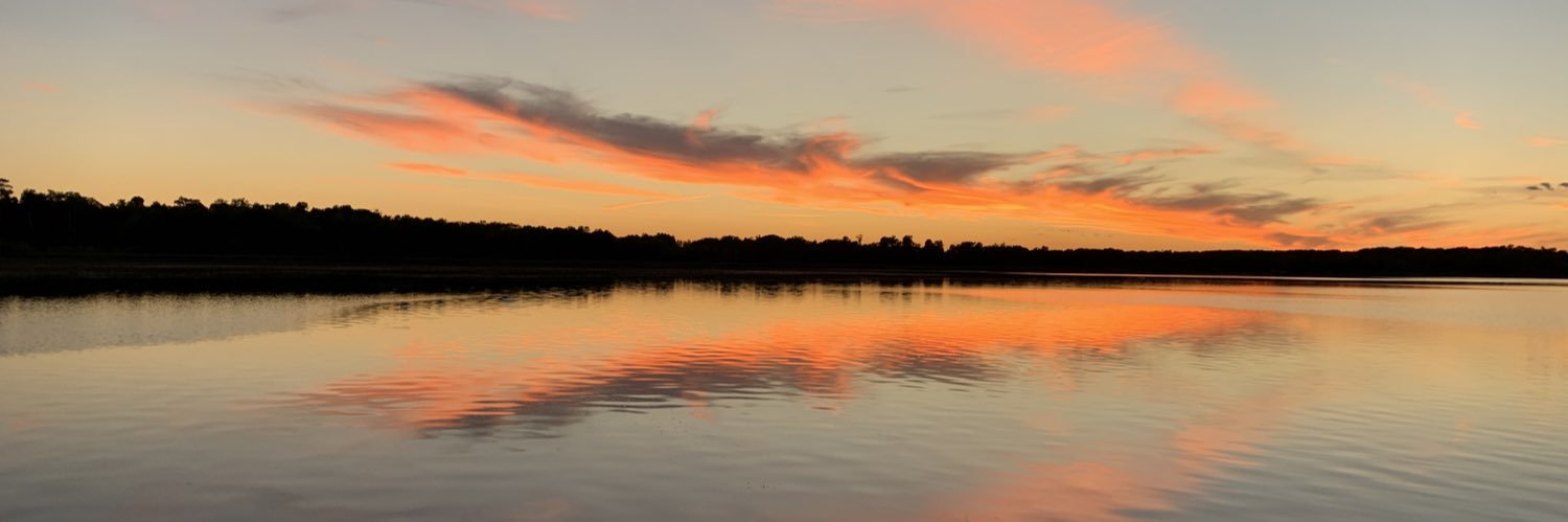 Lwippermanheine's profile banner image
