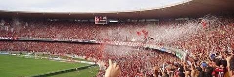 Tetra da América banner