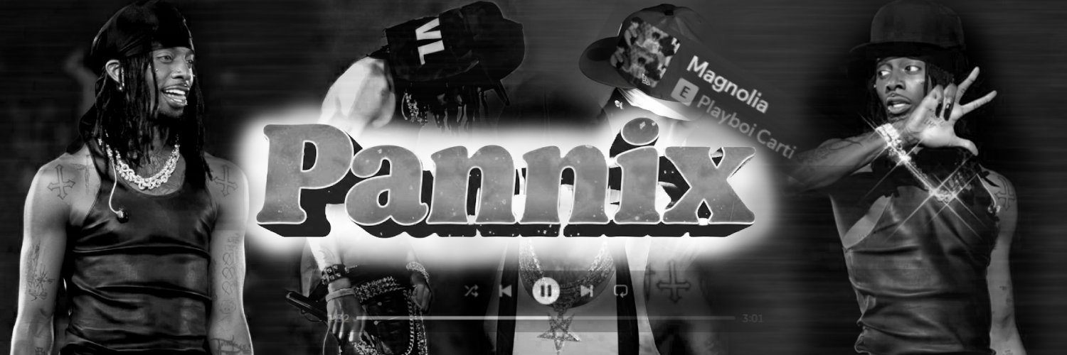 pannix banner