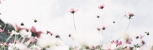SkyGregerson's profile banner image