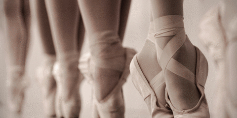 MaisonDeBallet's profile banner image