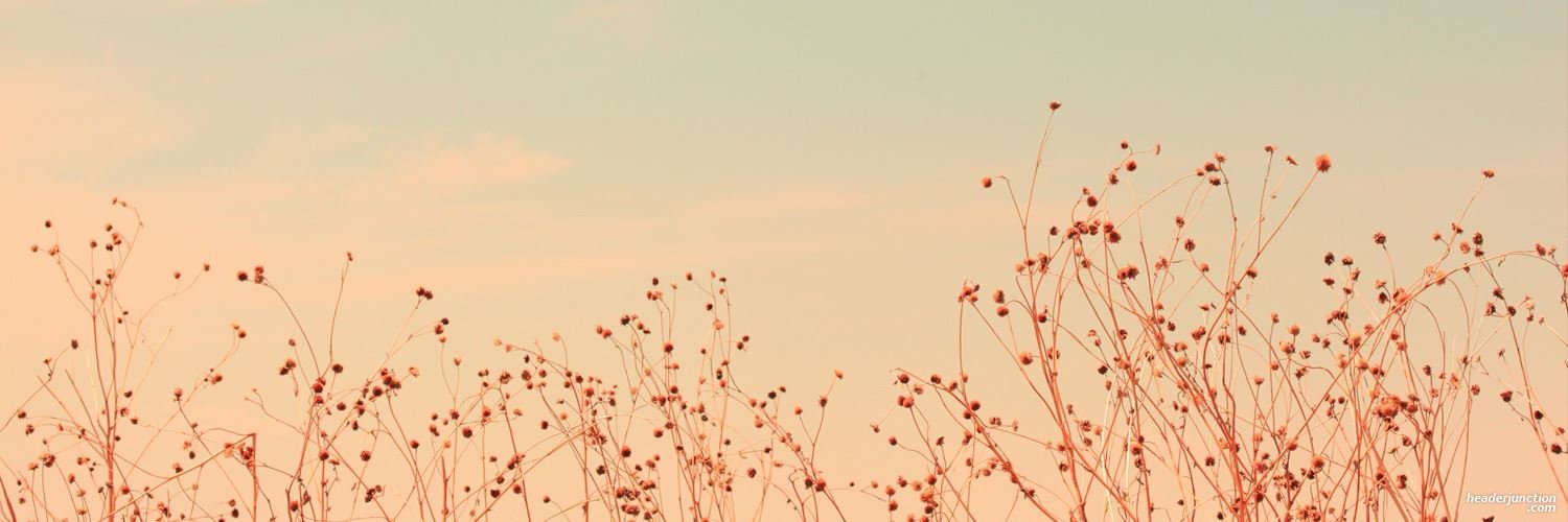 libbybeau's profile banner image