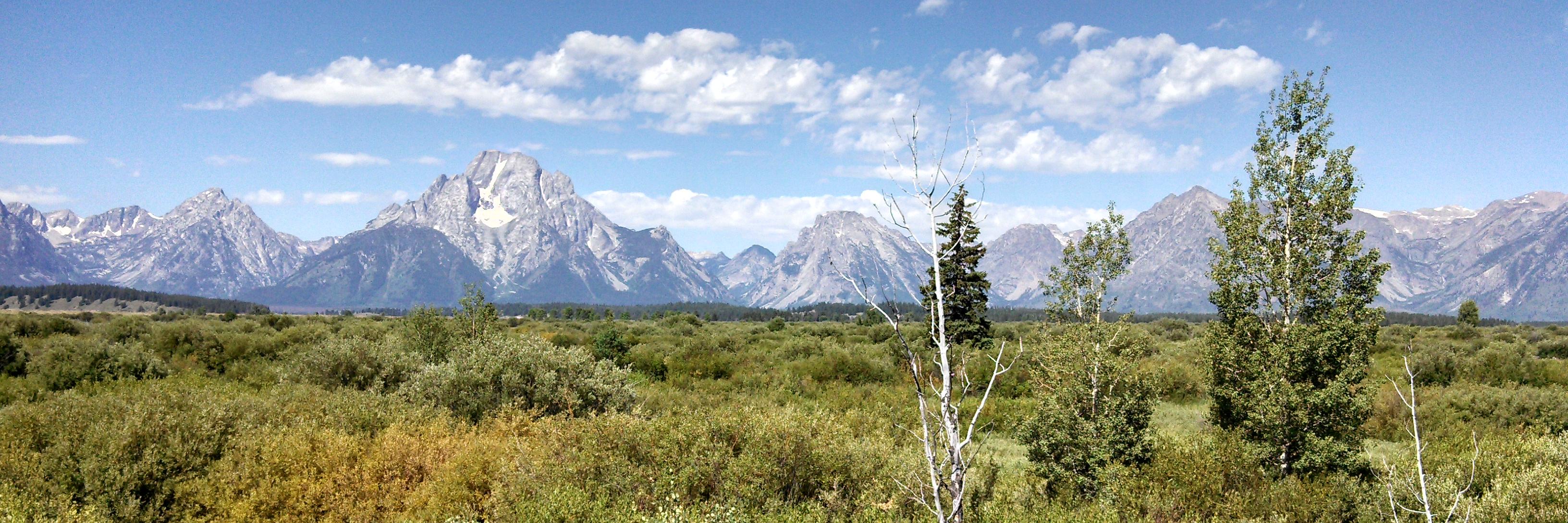 🏎 🦅 ⚾ 🏈 Mitchell banner