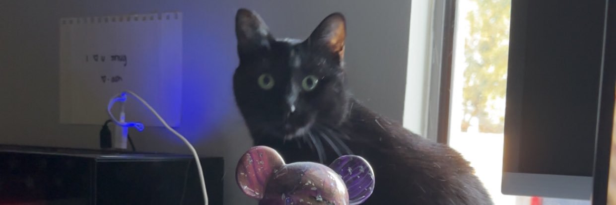 Rilaey's profile banner image