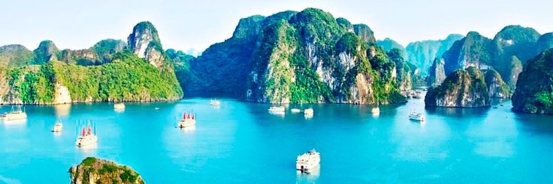 halongtrip's profile banner image