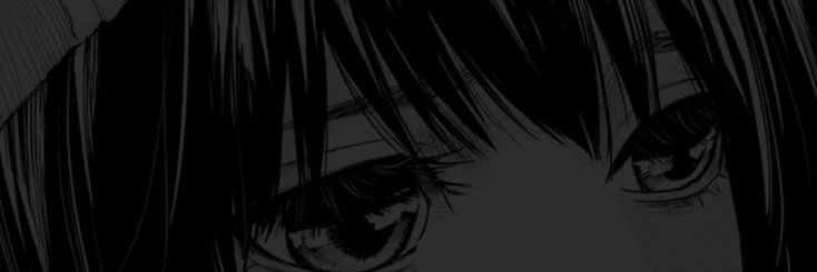 Bryan banner