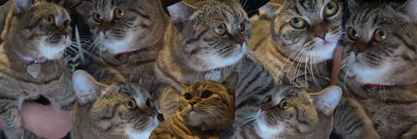 TheLegendOfGi Profile Banner