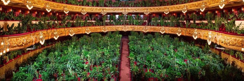 Chidiogo Akunyili banner