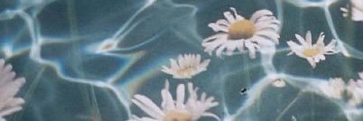 scan_mo's profile banner image