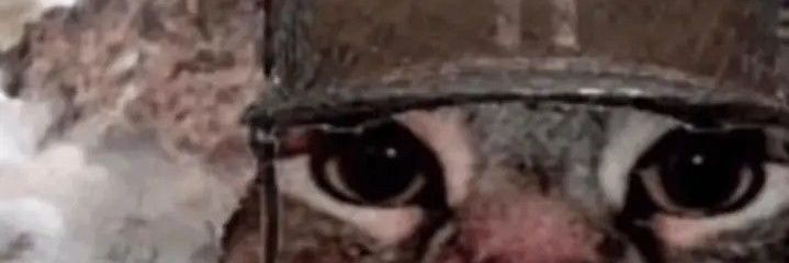 IOcarello's profile banner image