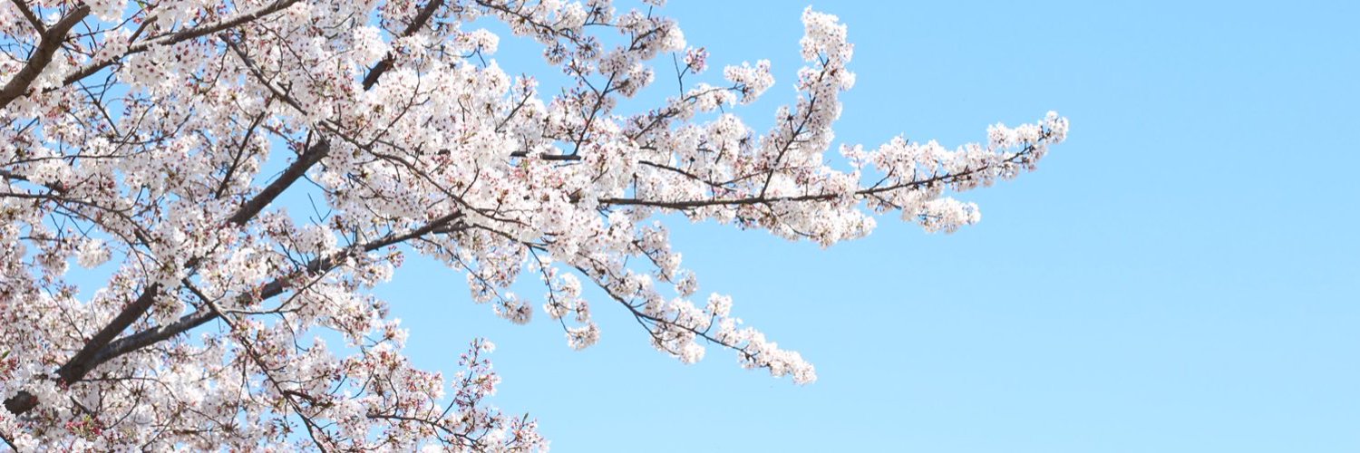 satomiex's profile banner image