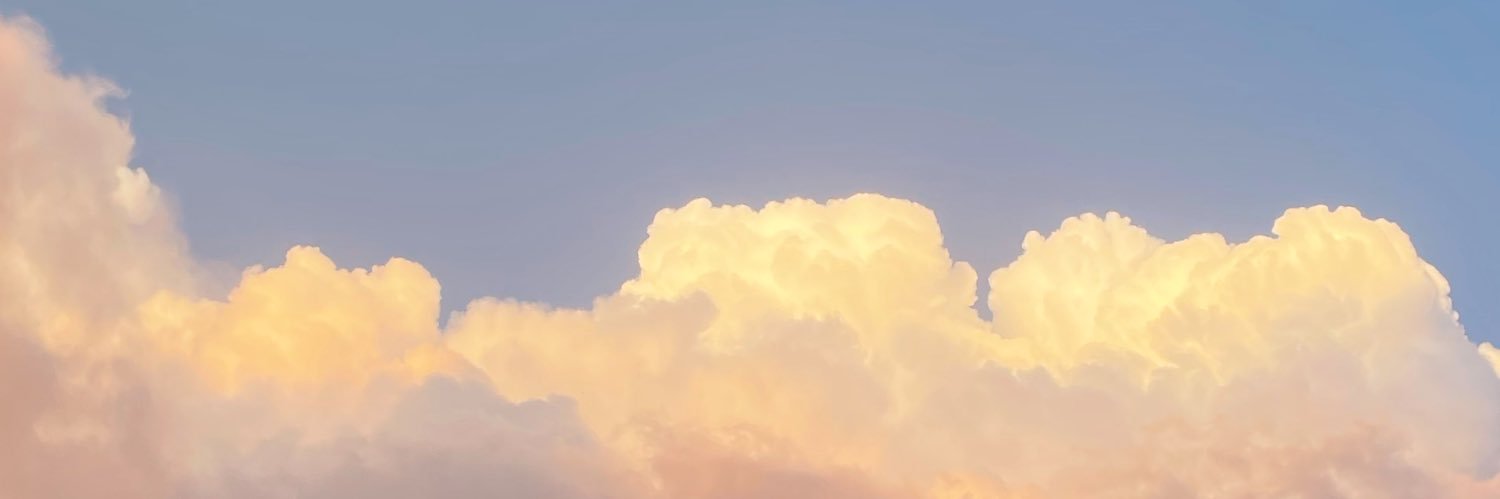 ereldinho's profile banner image