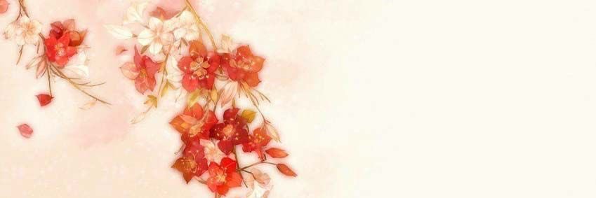 jolie 🪴's banner
