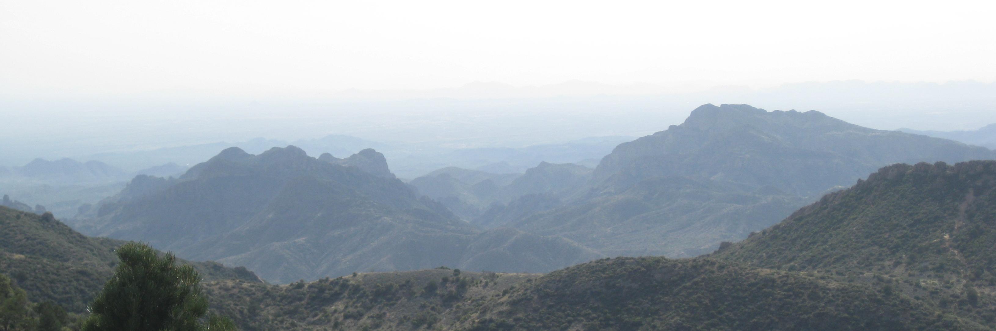 fosterell's profile banner image