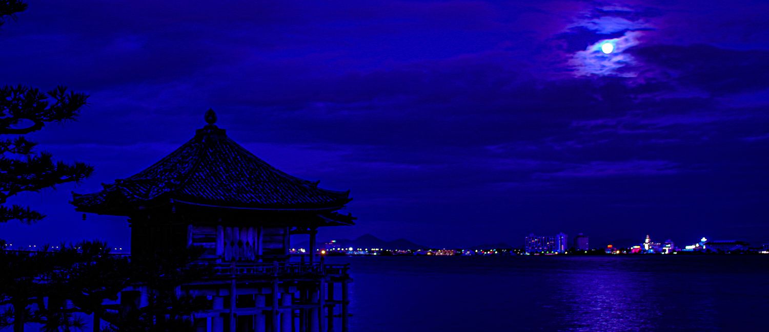 嗚呼赤備え💙💛 banner