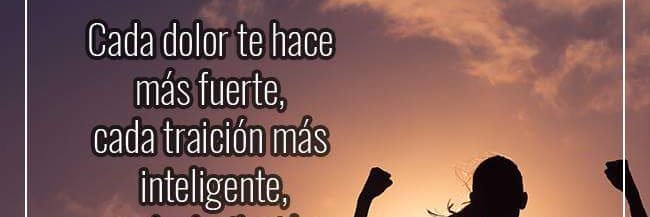 milefelipe24's profile banner image