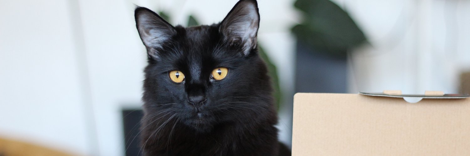 SmooothT's profile banner image
