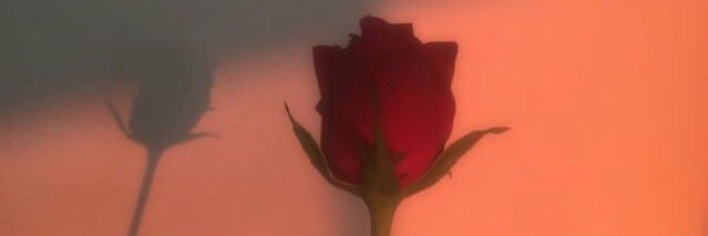 steph_m123's profile banner image