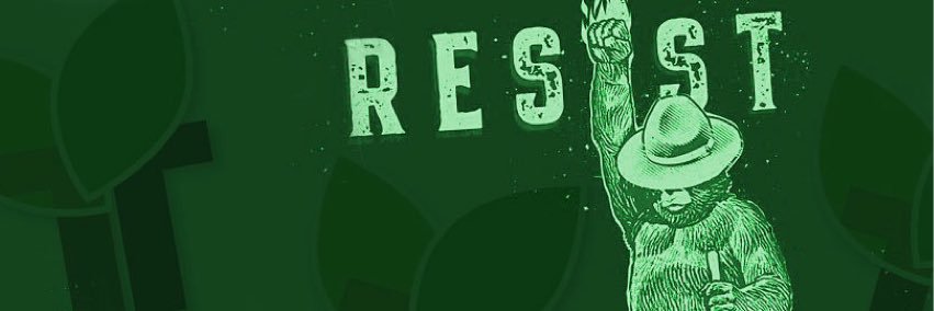 TouchTree's profile banner image