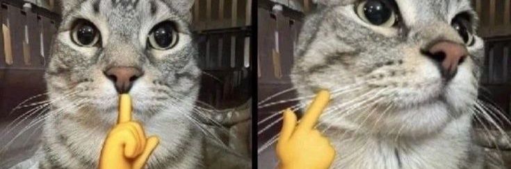 blud banner