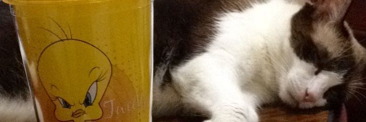 sfernandesr's profile banner image