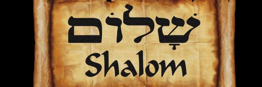 MotoBro # proud Jew🇮🇱 🇵🇾 🇷🇺 banner