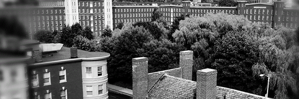 bob_mcintosh_1 Profile Banner