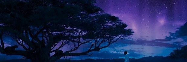 campouri2013's profile banner image