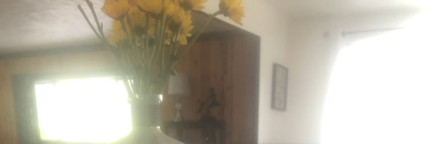 JenLynnOh's profile banner image
