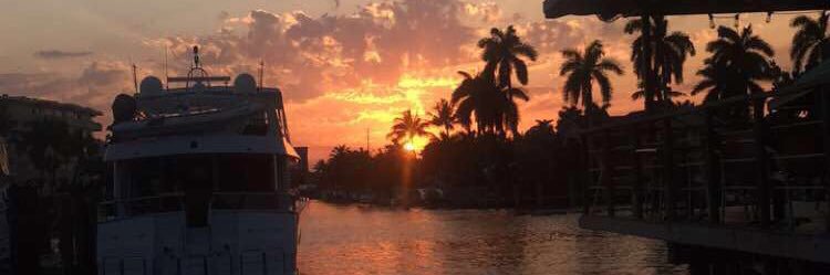 stevocap84's profile banner image