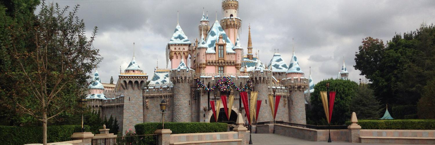 Kristi Hammond banner