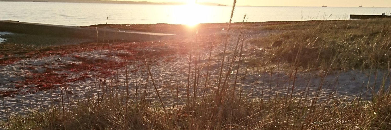 SandraJTweets's profile banner image