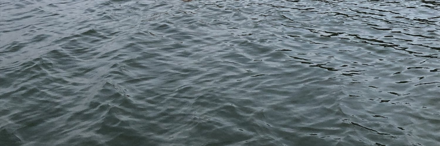 Jujubusch_'s profile banner image