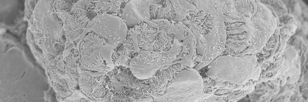 RodTan07 Profile Banner