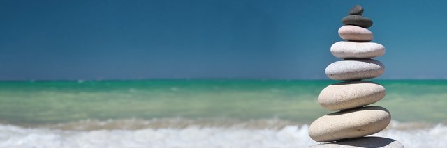 Pebble Wellbeing banner