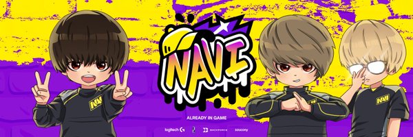 NAVIBrawlStars_ Profile Banner