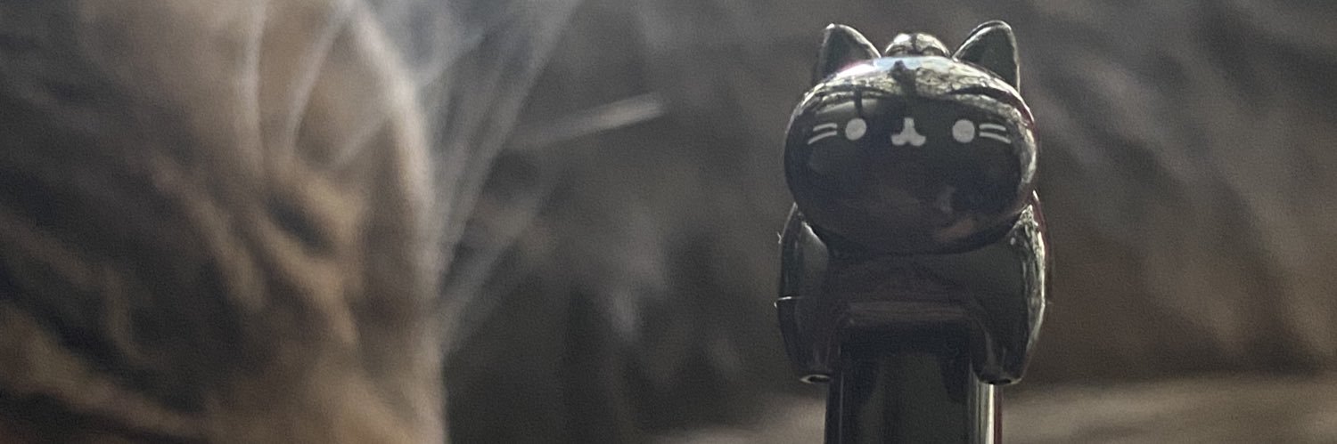 miaonextdoor's profile banner image