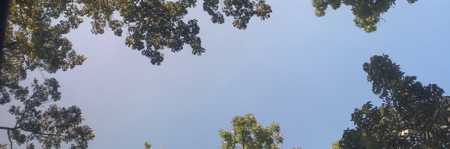 ummu_bey's profile banner image