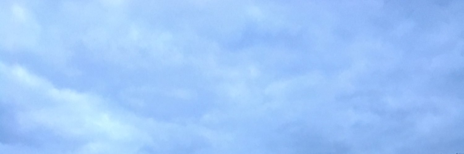 katieroo__'s profile banner image
