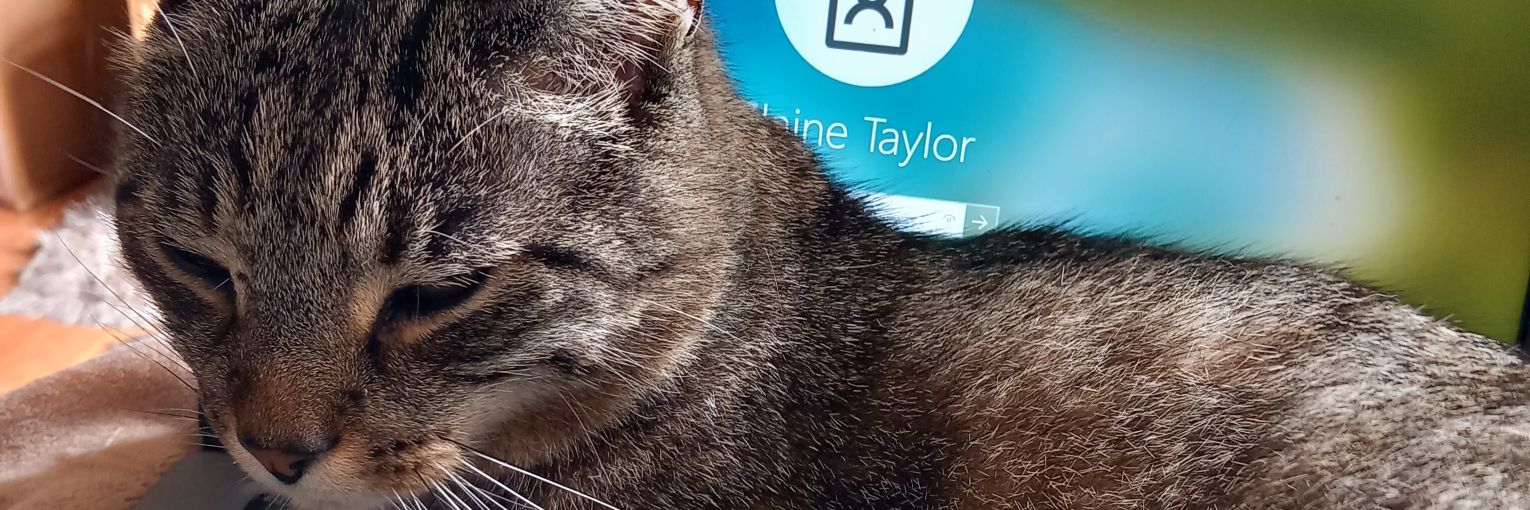 laineyt123's profile banner image