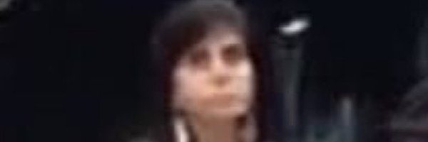 lezbopiggy Profile Banner