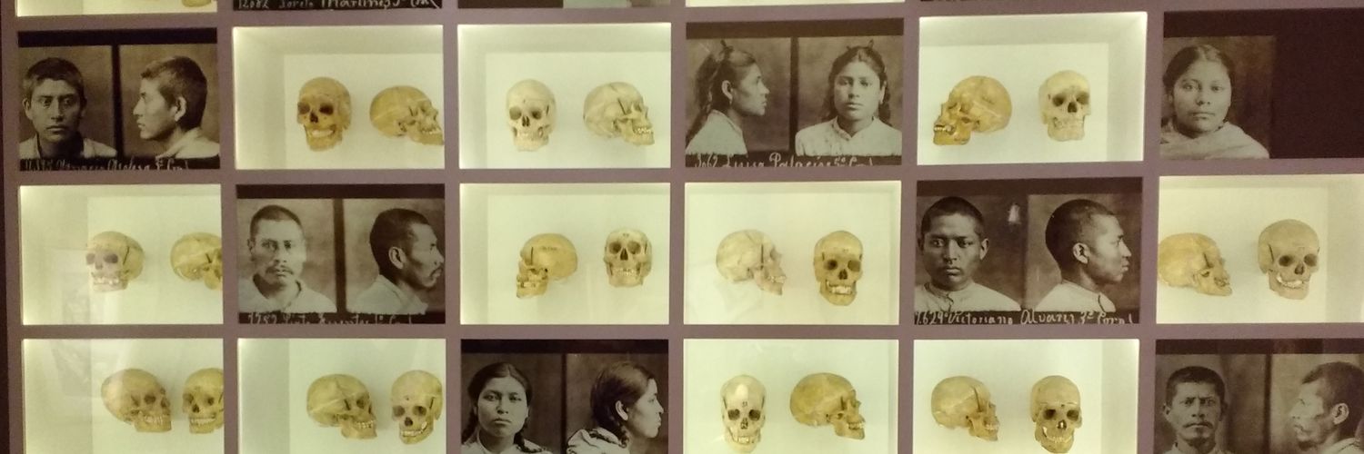 Notitia_Crimini's profile banner image