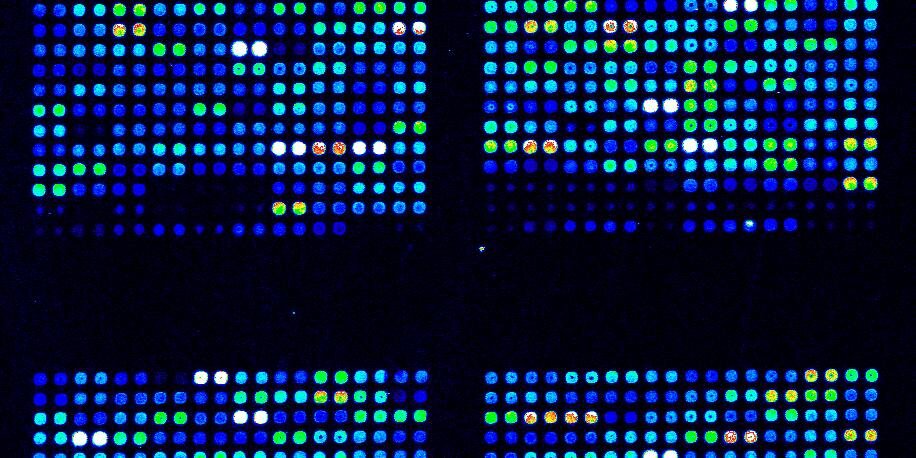BioAnalyticsInc's profile banner image