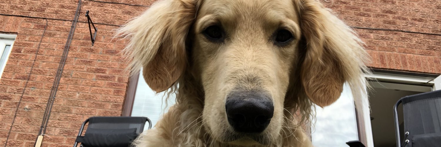 lacassidy95's profile banner image